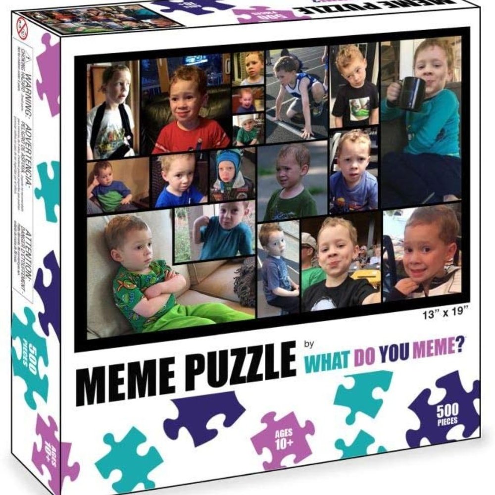 500 Piece Jigsaw Puzzle - What Do You Meme? Gavin